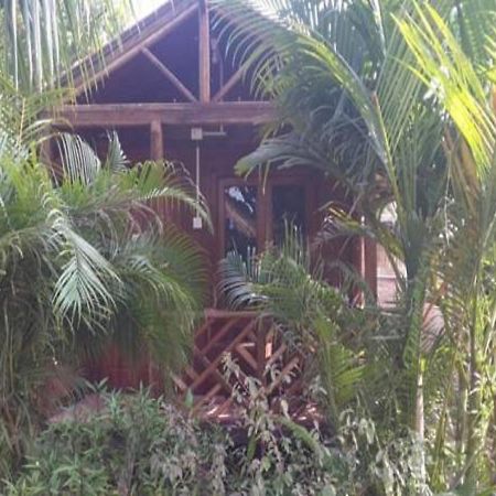 Sea Bird Beach Cafe & Cottages Morjim Dış mekan fotoğraf