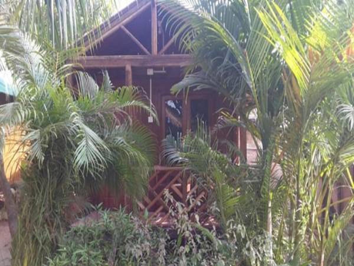 Sea Bird Beach Cafe & Cottages Morjim Dış mekan fotoğraf